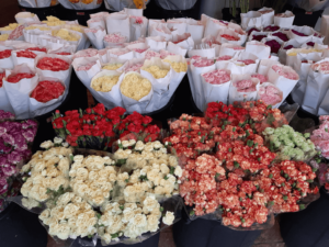 パーク・クローン市場の花々