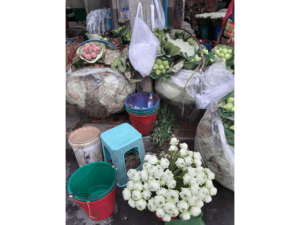 パーク・クローン市場の花々